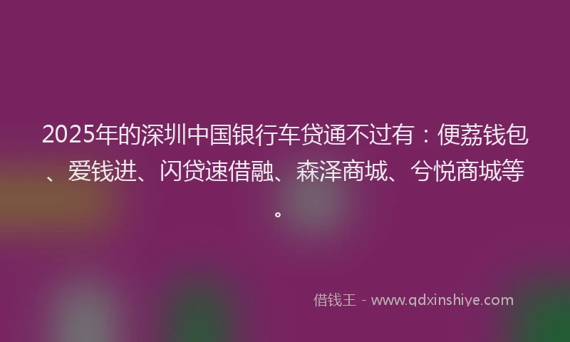 2025年的深圳中国银行车贷通不过有：便荔钱包、爱钱进、闪贷速借融、森泽商城、兮悦商城等。