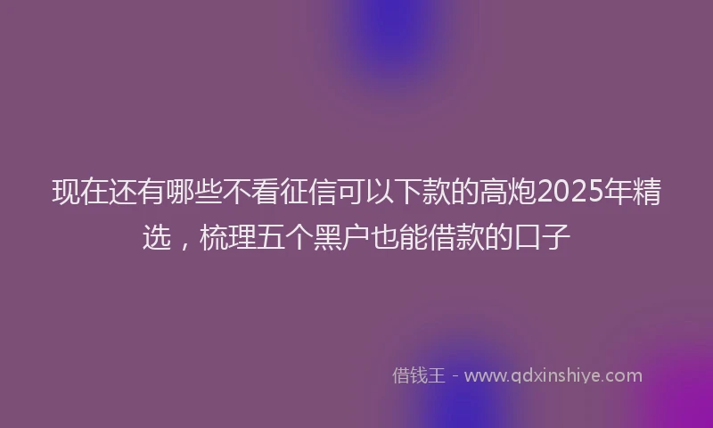 现在还有哪些不看征信可以下款的高炮2025年精选，梳理五个黑户也能借款的口子