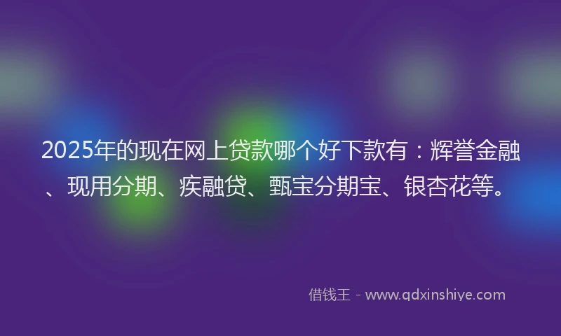 2025年的现在网上贷款哪个好下款有：辉誉金融、现用分期、疾融贷、甄宝分期宝、银杏花等。