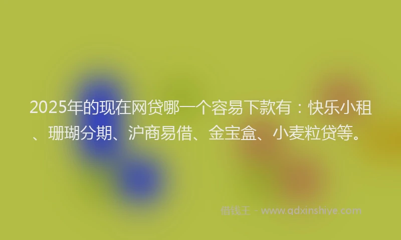 2025年的现在网贷哪一个容易下款有：快乐小租、珊瑚分期、沪商易借、金宝盒、小麦粒贷等。