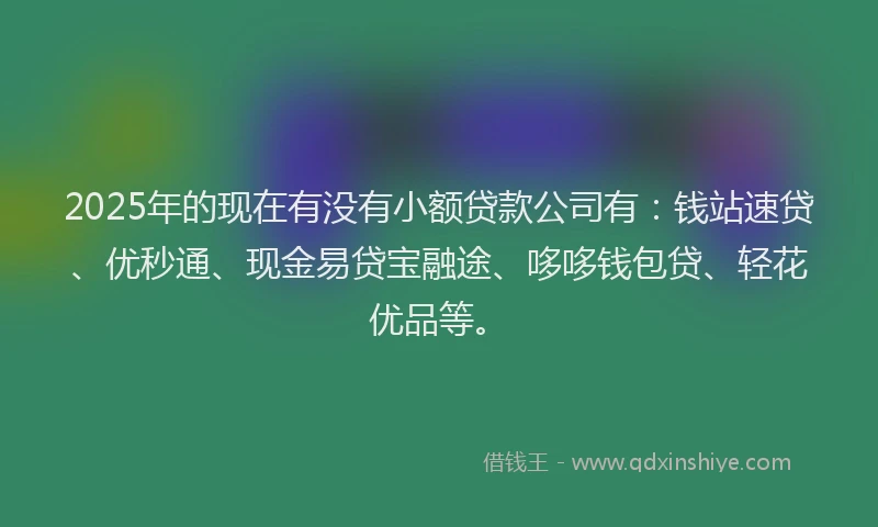 2025年的现在有没有小额贷款公司有：钱站速贷、优秒通、现金易贷宝融途、哆哆钱包贷、轻花优品等。