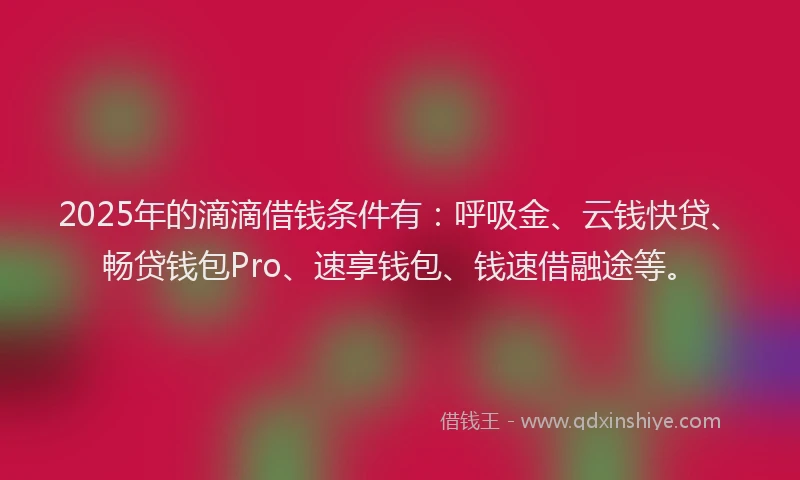 2025年的滴滴借钱条件有：呼吸金、云钱快贷、畅贷钱包Pro、速享钱包、钱速借融途等。