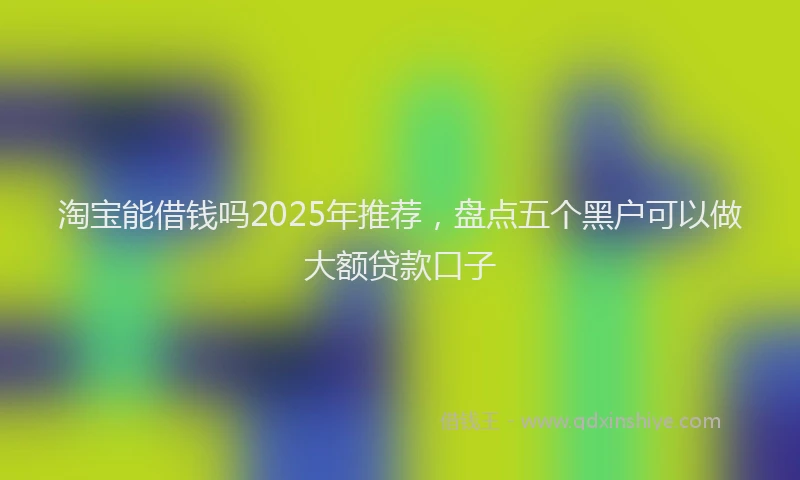 淘宝能借钱吗2025年推荐，盘点五个黑户可以做大额贷款口子