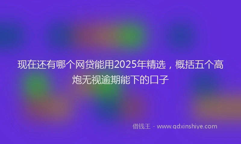 现在还有哪个网贷能用2025年精选，概括五个高炮无视逾期能下的口子