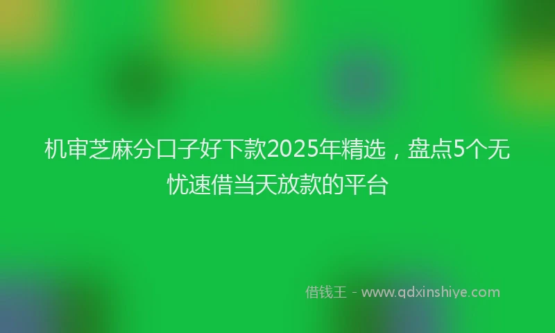 机审芝麻分口子好下款2025年精选，盘点5个无忧速借当天放款的平台
