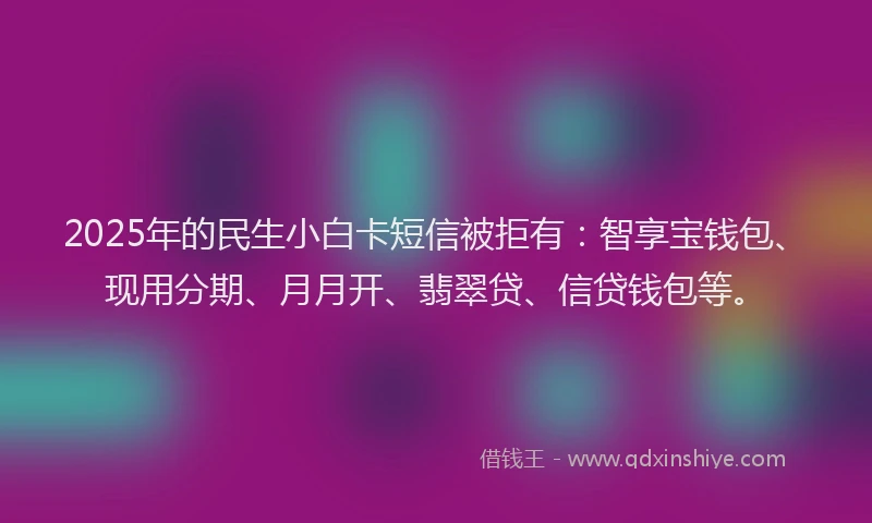 2025年的民生小白卡短信被拒有：智享宝钱包、现用分期、月月开、翡翠贷、信贷钱包等。