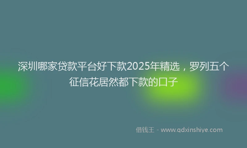 深圳哪家贷款平台好下款2025年精选，罗列五个征信花居然都下款的口子