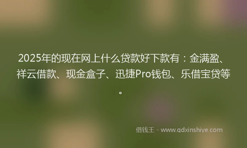 2025年的现在网上什么贷款好下款有：金满盈、祥云借款、现金盒子、迅捷Pro钱包、乐借宝贷等。