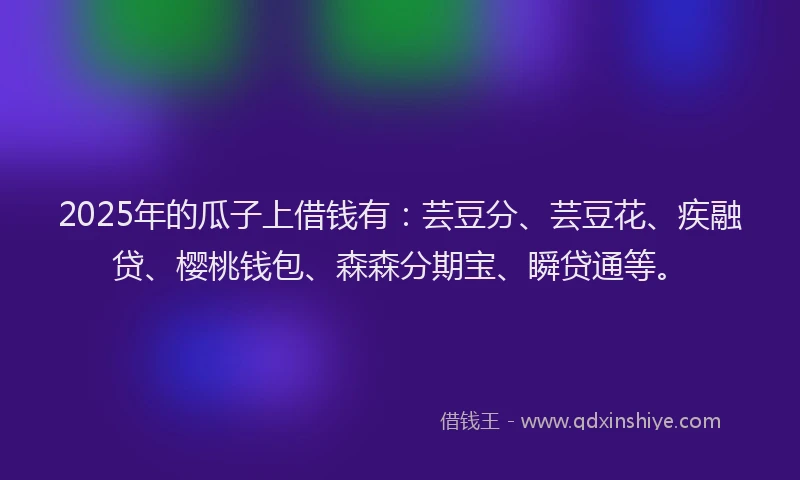 2025年的瓜子上借钱有：芸豆分、芸豆花、疾融贷、樱桃钱包、森森分期宝、瞬贷通等。