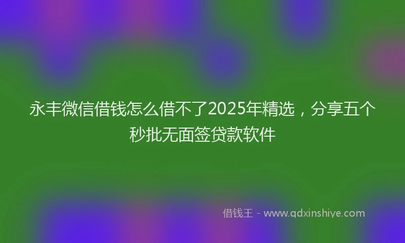 永丰微信借钱怎么借不了2025年精选，分享五个秒批无面签贷款软件
