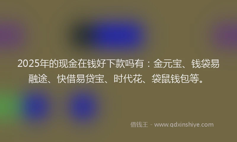 2025年的现金在钱好下款吗有：金元宝、钱袋易融途、快借易贷宝、时代花、袋鼠钱包等。