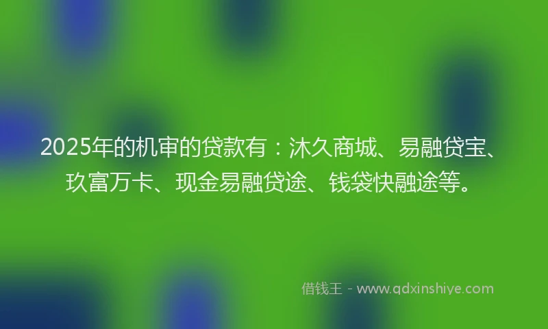 2025年的机审的贷款有：沐久商城、易融贷宝、玖富万卡、现金易融贷途、钱袋快融途等。