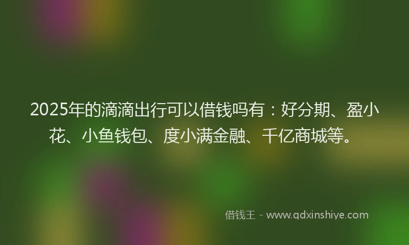2025年的滴滴出行可以借钱吗有：好分期、盈小花、小鱼钱包、度小满金融、千亿商城等。