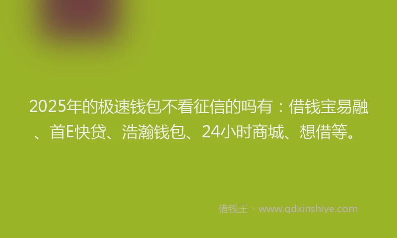 2025年的极速钱包不看征信的吗有：借钱宝易融、首E快贷、浩瀚钱包、24小时商城、想借等。