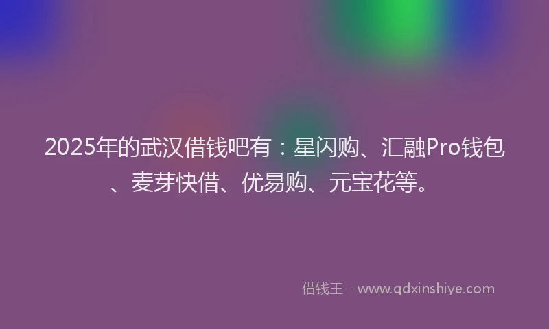 2025年的武汉借钱吧有：星闪购、汇融Pro钱包、麦芽快借、优易购、元宝花等。