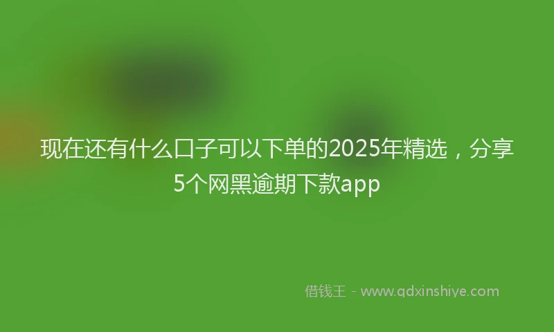 现在还有什么口子可以下单的2025年精选，分享5个网黑逾期下款app