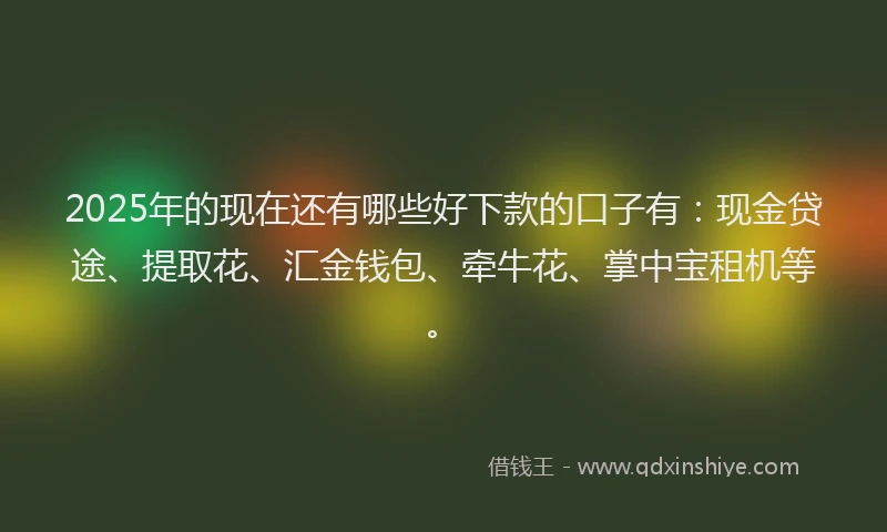 2025年的现在还有哪些好下款的口子有：现金贷途、提取花、汇金钱包、牵牛花、掌中宝租机等。