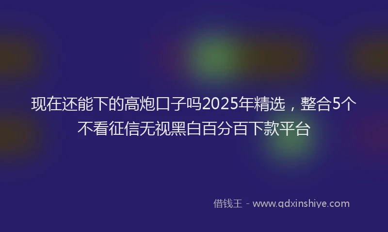 现在还能下的高炮口子吗2025年精选，整合5个不看征信无视黑白百分百下款平台