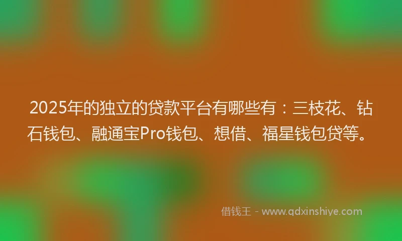 2025年的独立的贷款平台有哪些有：三枝花、钻石钱包、融通宝Pro钱包、想借、福星钱包贷等。