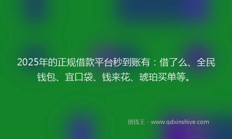 2025年的正规借款平台秒到账有：借了么、全民钱包、宜口袋、钱来花、琥珀买单等。