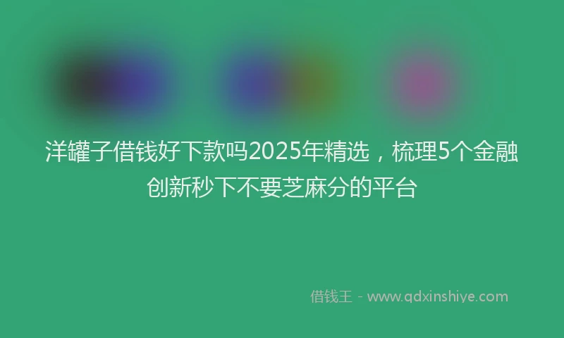 洋罐子借钱好下款吗2025年精选，梳理5个金融创新秒下不要芝麻分的平台
