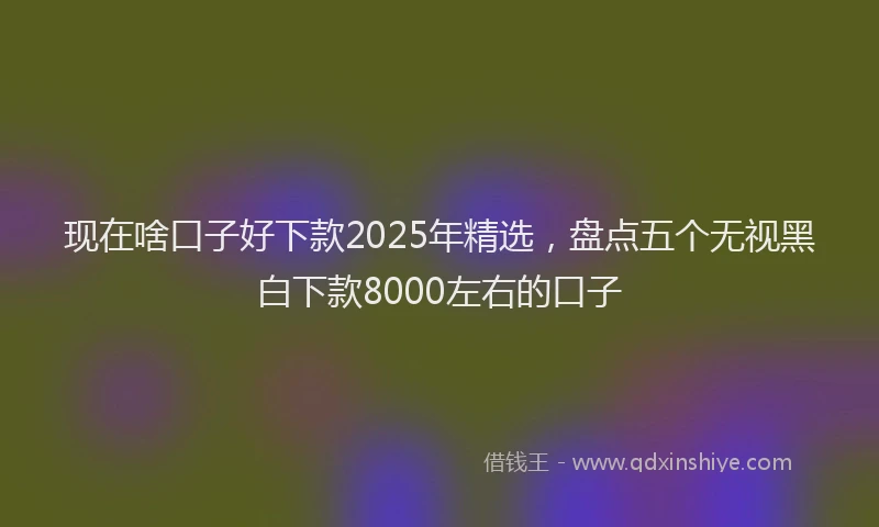 现在啥口子好下款2025年精选，盘点五个无视黑白下款8000左右的口子
