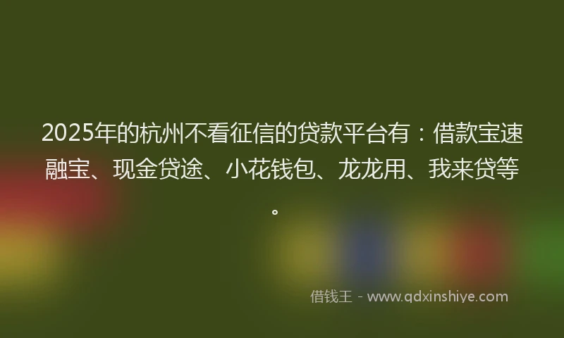 2025年的杭州不看征信的贷款平台有：借款宝速融宝、现金贷途、小花钱包、龙龙用、我来贷等。