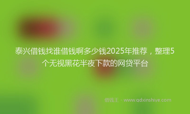 泰兴借钱找谁借钱啊多少钱2025年推荐，整理5个无视黑花半夜下款的网贷平台
