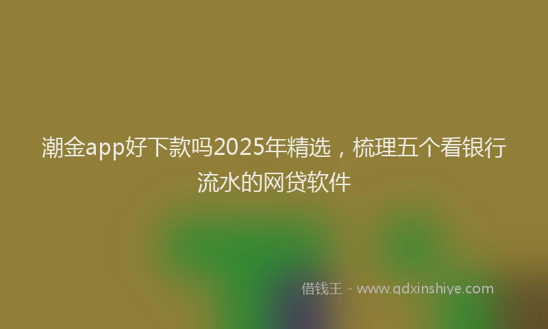 潮金app好下款吗2025年精选，梳理五个看银行流水的网贷软件