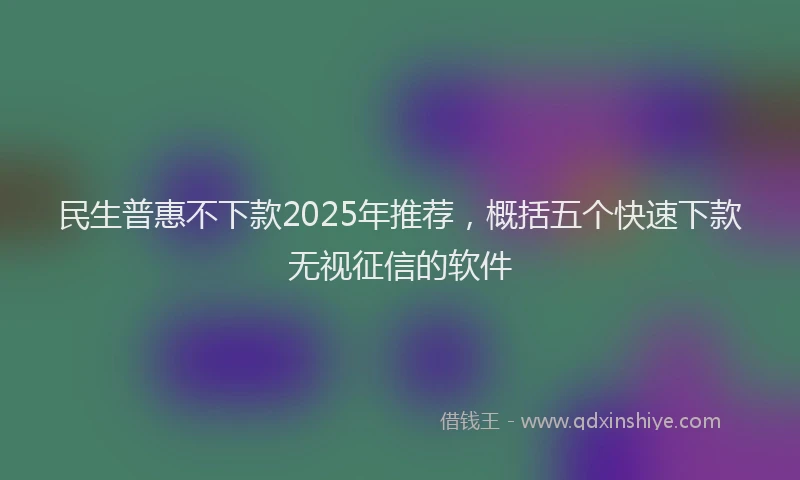 民生普惠不下款2025年推荐，概括五个快速下款无视征信的软件