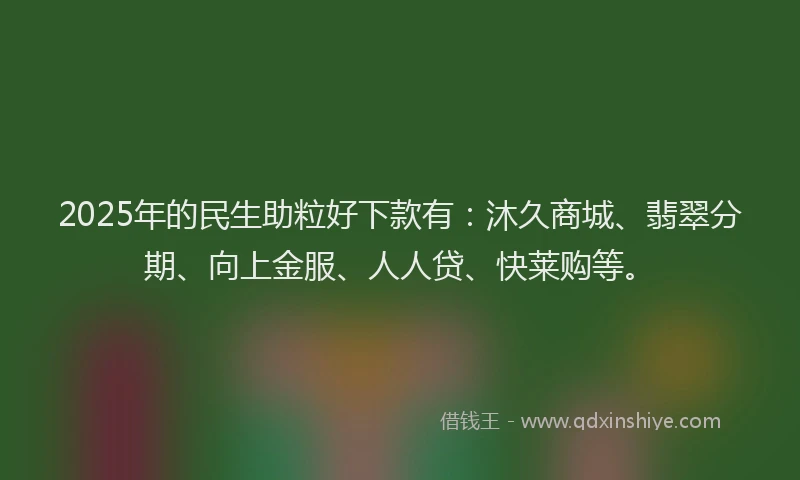 2025年的民生助粒好下款有：沐久商城、翡翠分期、向上金服、人人贷、快莱购等。