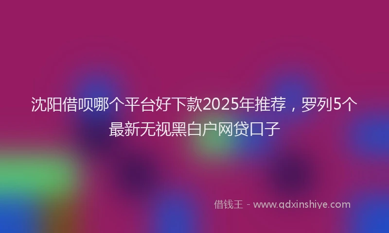 沈阳借呗哪个平台好下款2025年推荐，罗列5个最新无视黑白户网贷口子