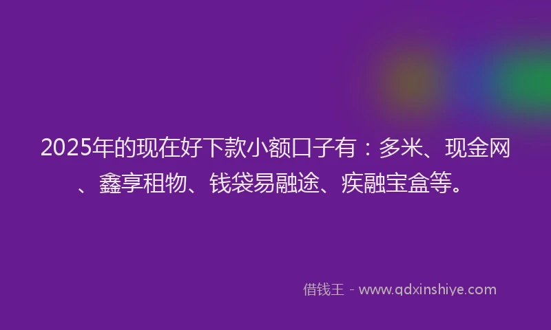 2025年的现在好下款小额口子有：多米、现金网、鑫享租物、钱袋易融途、疾融宝盒等。