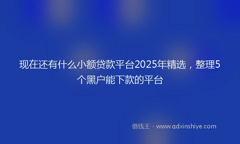 现在还有什么小额贷款平台2025年精选，整理5个黑户能下款的平台