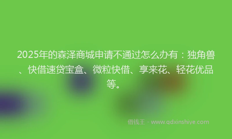 2025年的森泽商城申请不通过怎么办有：独角兽、快借速贷宝盒、微粒快借、享来花、轻花优品等。