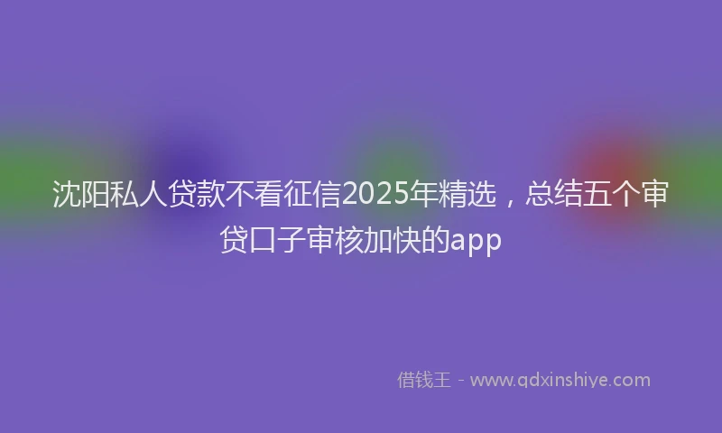 沈阳私人贷款不看征信2025年精选，总结五个审贷口子审核加快的app
