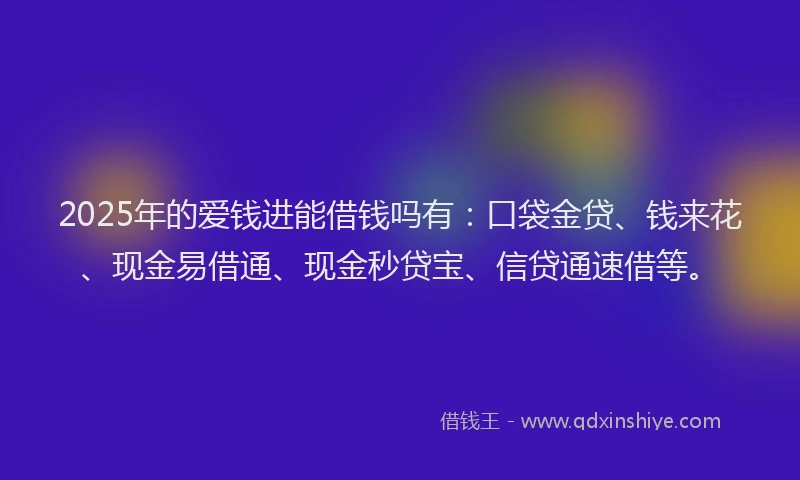 2025年的爱钱进能借钱吗有：口袋金贷、钱来花、现金易借通、现金秒贷宝、信贷通速借等。