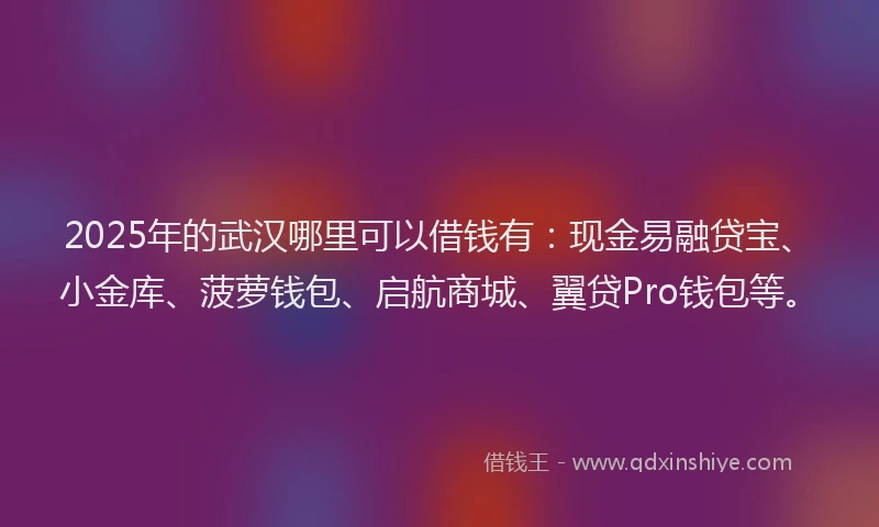 2025年的武汉哪里可以借钱有：现金易融贷宝、小金库、菠萝钱包、启航商城、翼贷Pro钱包等。