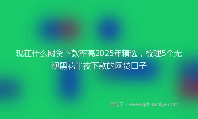 现在什么网贷下款率高2025年精选，梳理5个无视黑花半夜下款的网贷口子