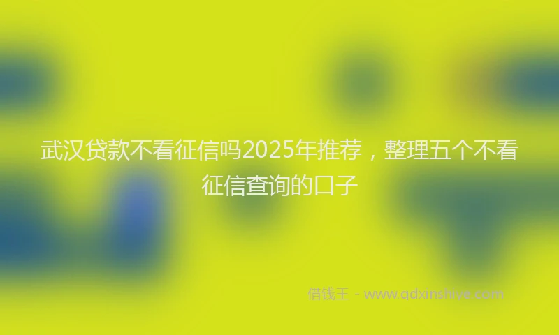 武汉贷款不看征信吗2025年推荐，整理五个不看征信查询的口子