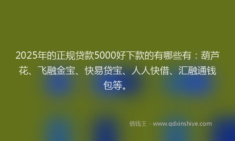 2025年的正规贷款5000好下款的有哪些有：葫芦花、飞融金宝、快易贷宝、人人快借、汇融通钱包等。
