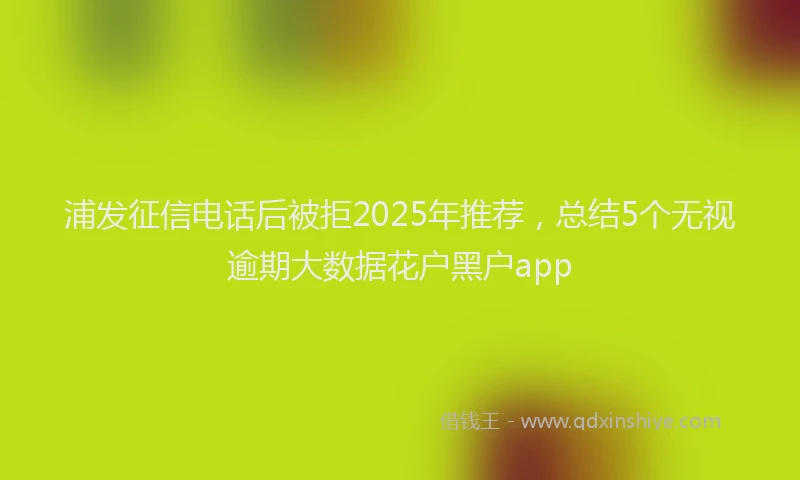 浦发征信电话后被拒2025年推荐，总结5个无视逾期大数据花户黑户app