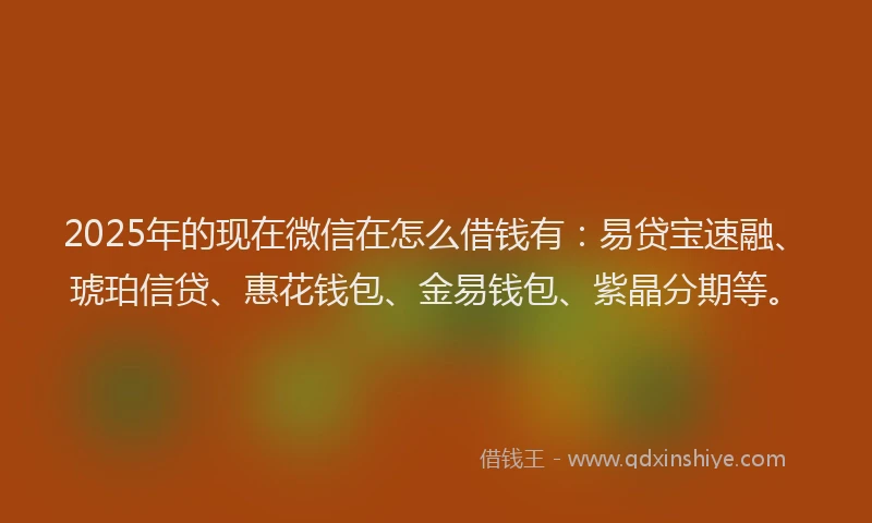 2025年的现在微信在怎么借钱有：易贷宝速融、琥珀信贷、惠花钱包、金易钱包、紫晶分期等。