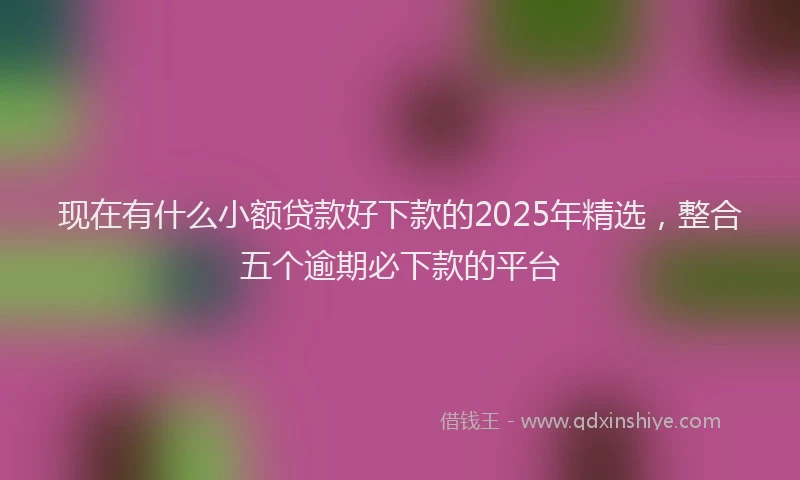 现在有什么小额贷款好下款的2025年精选，整合五个逾期必下款的平台