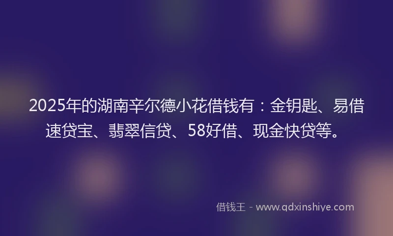 2025年的湖南辛尔德小花借钱有：金钥匙、易借速贷宝、翡翠信贷、58好借、现金快贷等。