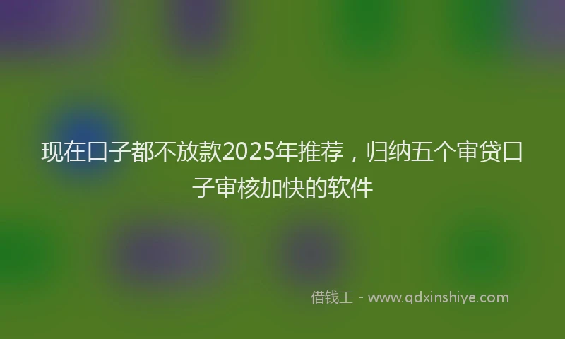 现在口子都不放款2025年推荐，归纳五个审贷口子审核加快的软件