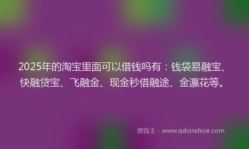 2025年的淘宝里面可以借钱吗有：钱袋易融宝、快融贷宝、飞融金、现金秒借融途、金瀛花等。