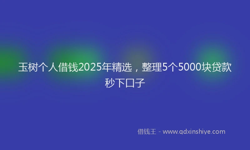 玉树个人借钱2025年精选，整理5个5000块贷款秒下口子