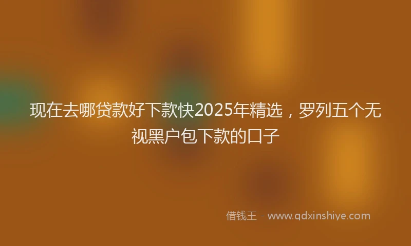 现在去哪贷款好下款快2025年精选，罗列五个无视黑户包下款的口子