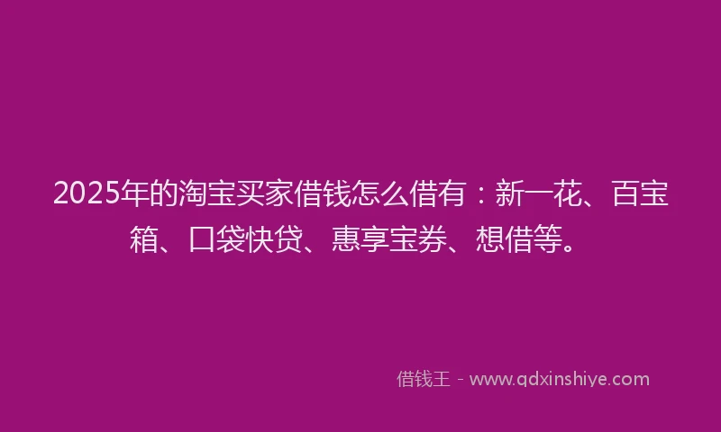 2025年的淘宝买家借钱怎么借有：新一花、百宝箱、口袋快贷、惠享宝券、想借等。